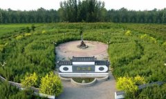 河北省馆陶县中医医院"五结合"推进中医药文