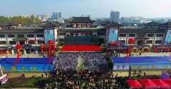 今天开幕蕲艾全产业链年收益已达90亿元
