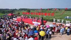 蕲春20余万亩蕲艾丰收喜“开镰”