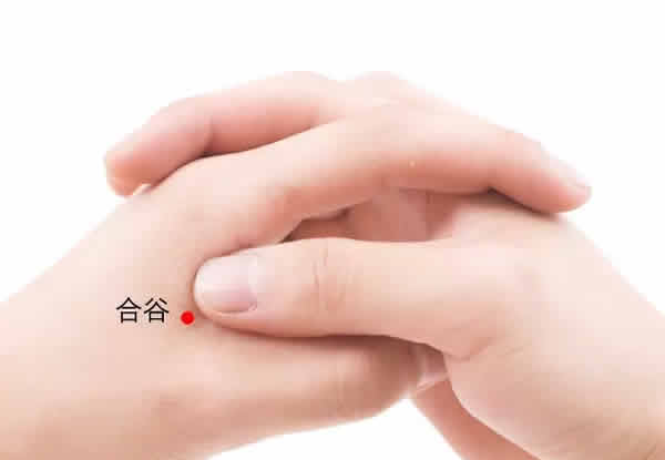 湿气重艾灸灸哪个部位