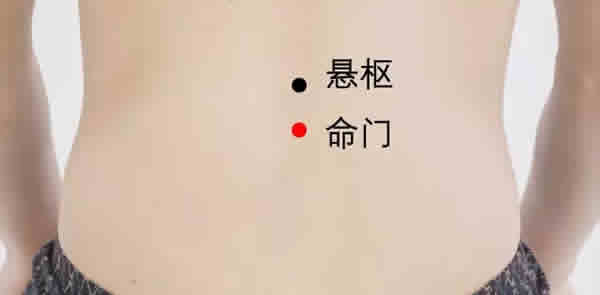 命门穴艾灸穴位图
