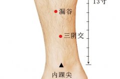 膀胱俞穴_膀胱俞穴位