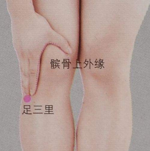 艾灸去湿气位置图