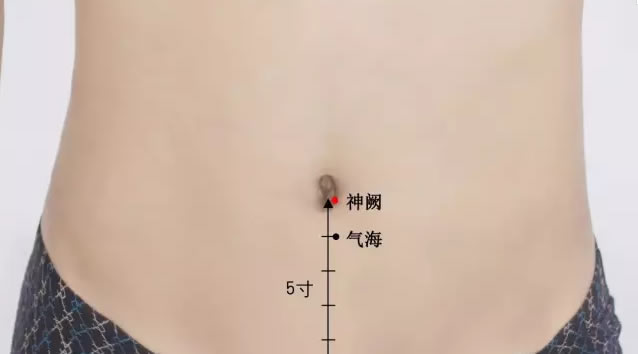 神阙穴