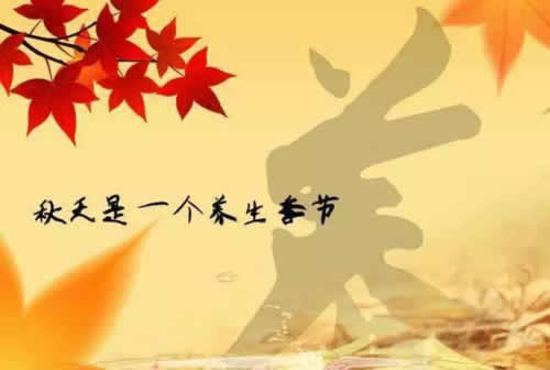 秋季养生,养肺为先补充阳气!