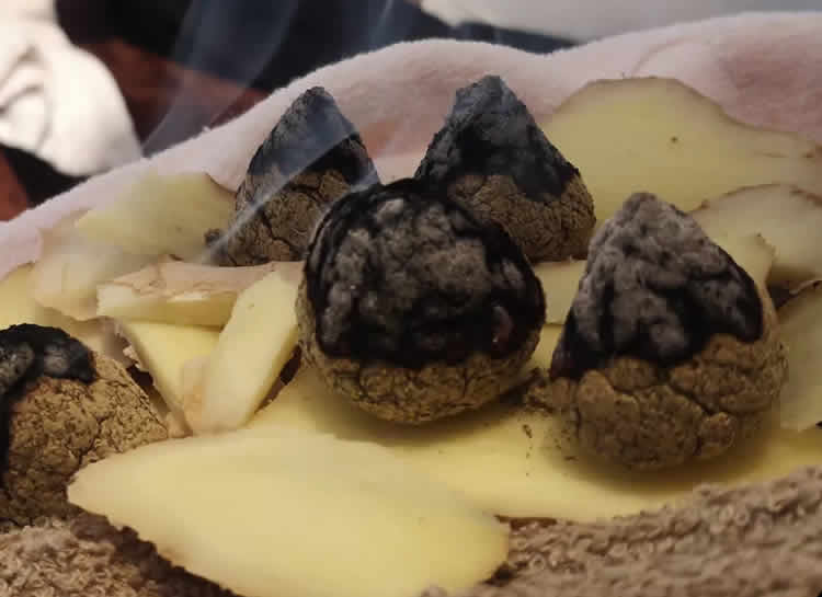 艾灸肚子的好处与功效