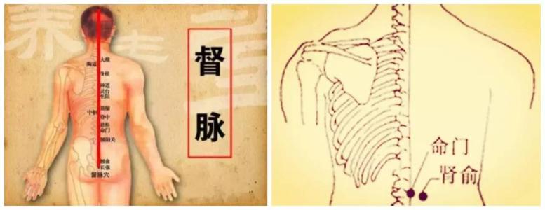 内分泌失调取穴