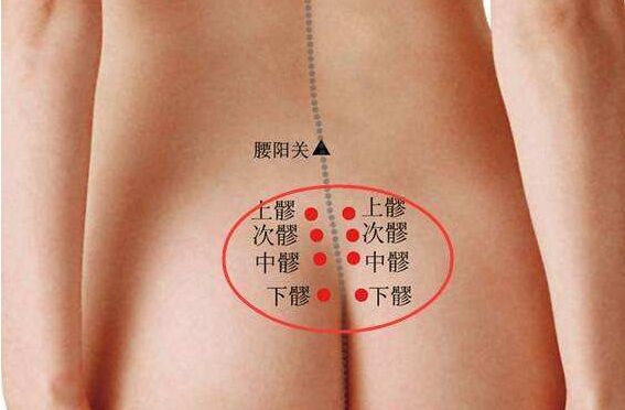 八髎的准确位置图