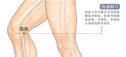 曲泉穴