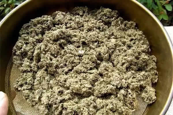 艾条加工设备