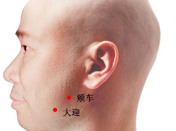 颊车穴