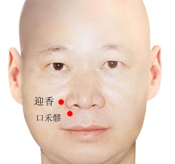 迎香穴