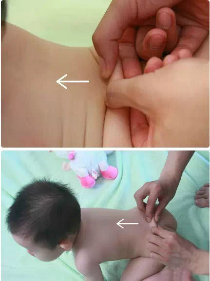 脊柱