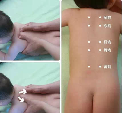 肺腧