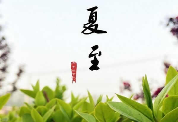 夏至艾灸的弊端
