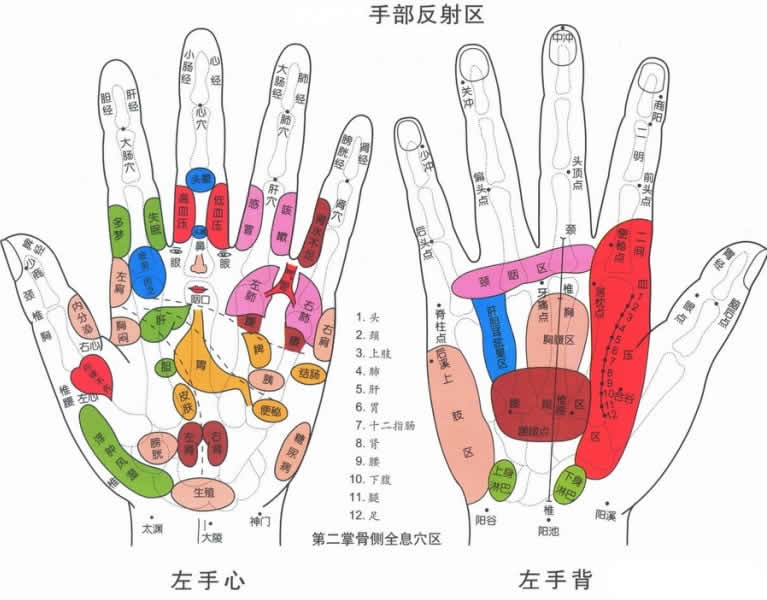 手掌穴位图解