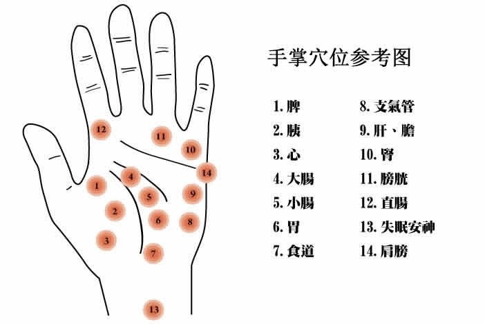 手掌穴位参考图
