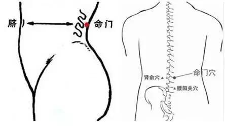 命门关元