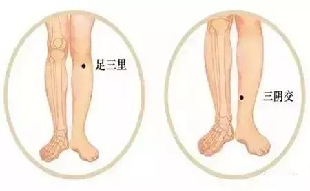 足三里+三阴交