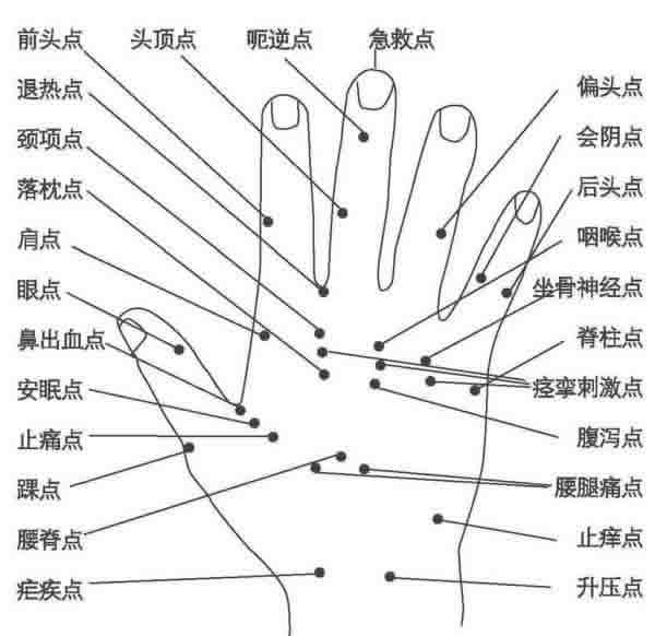 手部穴位图(手背)