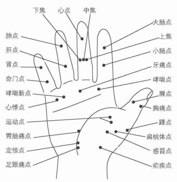手部穴位图(手掌) 