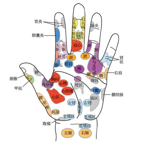 左手部反射区图片