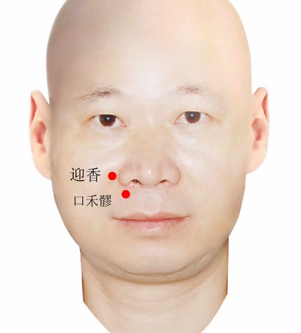 鼻炎艾灸穴位图