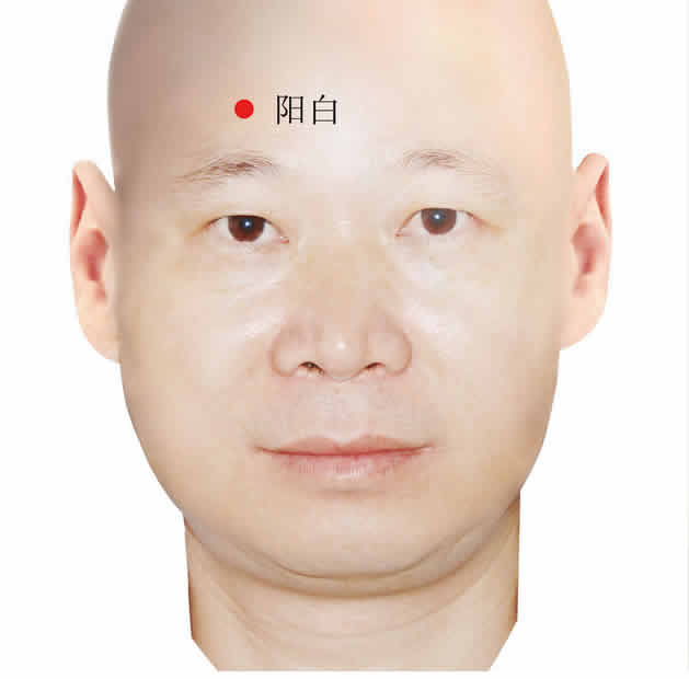 鼻炎艾灸穴位图