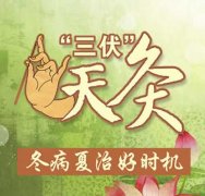 三伏灸时间,三伏艾灸哪些穴位好