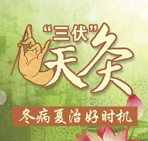 三伏灸时间 