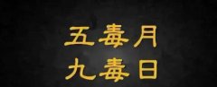 五毒月九毒日,艾草这样用起来!