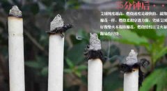 熏艾条的功效与作用
