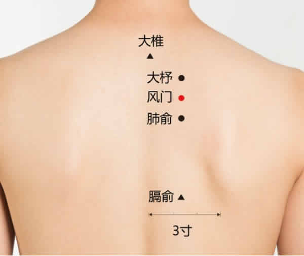 艾条熏背的功效与作用