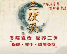 三伏天艾灸养生冬病夏治灸起来