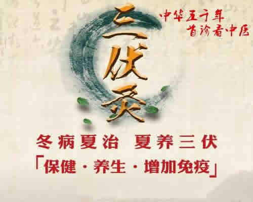 三伏天艾灸养生冬病夏治灸起来
