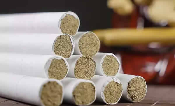 三伏灸注意这些才有效!