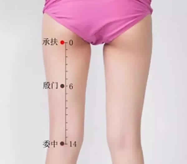 承扶穴位_承扶穴位置_承扶穴作用
