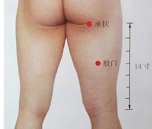 承扶穴位_承扶穴位置_承扶穴作用