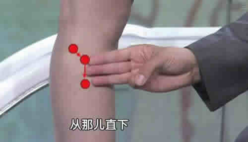 阳陵泉穴_阳陵泉作用_阳陵泉视频