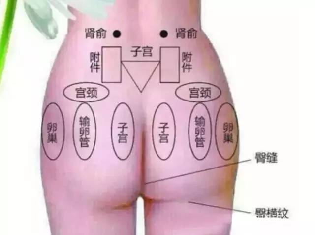 女人屁股凉艾灸哪里