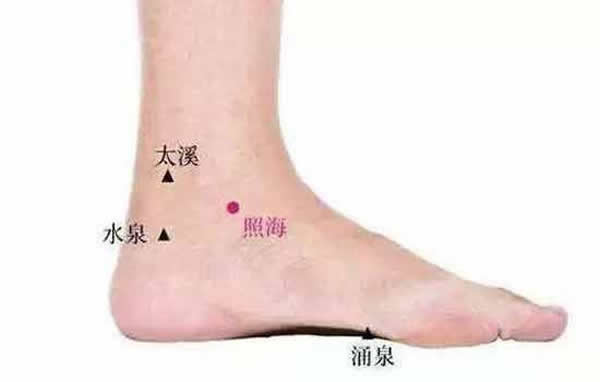 照海穴的位置