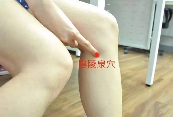 湿气重艾灸灸哪个部位