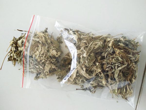 陈艾是不是艾叶