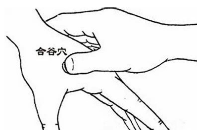 合谷穴