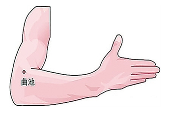 曲池穴