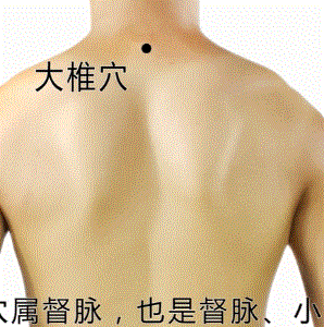 人体经络穴位详解