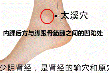人体穴位图解大全 高清
