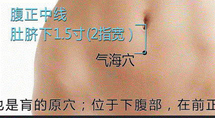 人体全身穴位