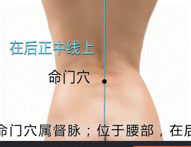 人体背面穴位图