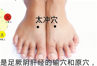 人体穴位高清图